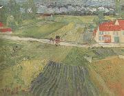 Vincent Van Gogh Landscape wiith Carriage and Train in the Background (nn04) china oil painting artist